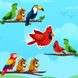 Bird Sort Puzzle - Bird Games icône