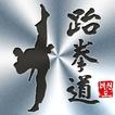 태권도 품세 마스터 图标