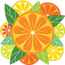 Апельсин Лимон Лайм Рецепты APK