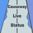 Causeway - Surat Live Status (