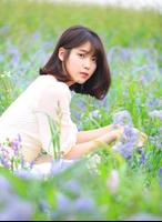 IU Wallpapers HD पोस्टर