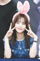 Jisoo Wallpapers HD 截图 3