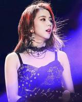 Jisoo Wallpapers HD 截图 2