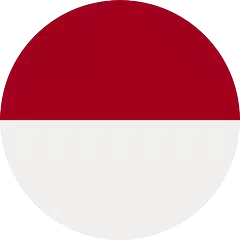 Indonesia VPN - Free VPN  Proxy &amp; Wi-Fi Security