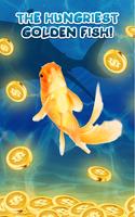 Hungry Golden Fish Affiche