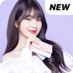 Red Velvet Irene Wallpaper Kpop HD New