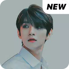 Seventeen Joshua wallpaper Kpop HD new アプリダウンロード