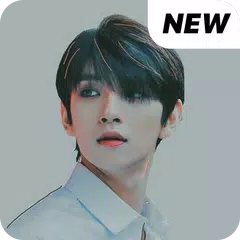 Baixar Seventeen Joshua wallpaper Kpop HD new APK