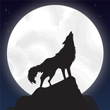 Puzzage - Puzzle game with Pictures