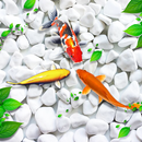 Fish Live Wallpaper Koi APK