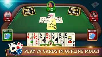 29 Card Game Plus الملصق