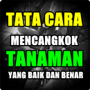 Tata Cara Mencangkok Tanaman APK