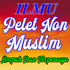 Pelet Non Muslim Tingkat Tinggi 圖標