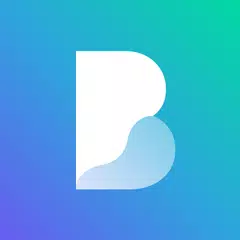 Borealis - Icon Pack APK 下載