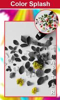 Color Splash Effect screenshot 3