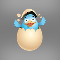 Duck Challenge