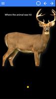 Deer Tracker-poster