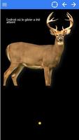 Deer Tracker الملصق