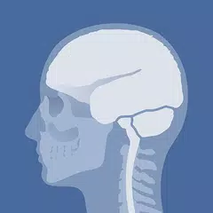 Head Atlas アプリダウンロード