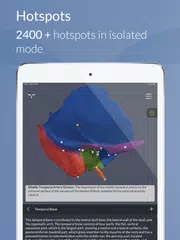 Head Atlas XAPK download