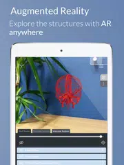 Head Atlas XAPK download