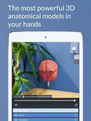 Head Atlas XAPK download