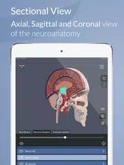 Head Atlas XAPK download