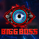 Bigg Boss Season 17 APK