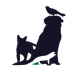 Urbanpetkart