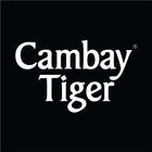 Cambay Tiger آئیکن