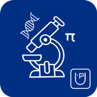 Class 5 أيقونة