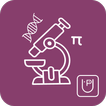 Class 8 Maths Science English