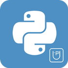 Learn Python Programming иконка