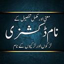 Name Meaning Dictionary Urdu APK