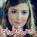 Dil Se Dil Mile Jab by Huma Jahangir - Urdu Novel APK