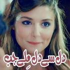 Dil Se Dil Mile Jab by Huma Jahangir - Urdu Novel Zeichen