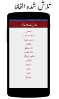 Urdu to Urdu Dictionary Offline : Urdu Lughat capture d'écran 3