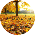 Urdu Thumbail 2109