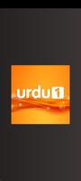 URDU TV: Channel capture d'écran 1