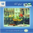 Urdu TextBook 12th - Urdu Book-APK