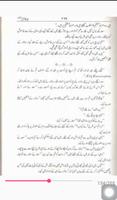 peer e kamil - umera ahmed urdu novel screenshot 1