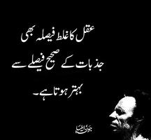 Jaun Elia Poetry ảnh chụp màn hình 3