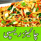 Chinese Recipes In Urdu icône