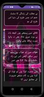 Urdu Attitude Shayari 2024 تصوير الشاشة 1