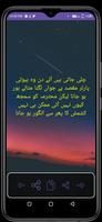 Urdu Funny Shayari تصوير الشاشة 3