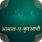 Aamale Qurani Hindi-icoon