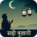 Mukhtasar Sahi Bukhari Hindi APK