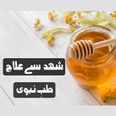 Honey say ilaj APK