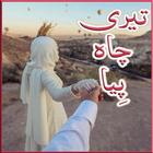 Teri Chah Piya آئیکن