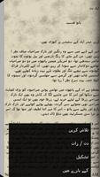 Urdu Novel Aik Din screenshot 3